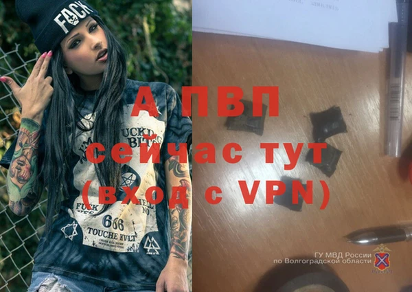 амф Алексин