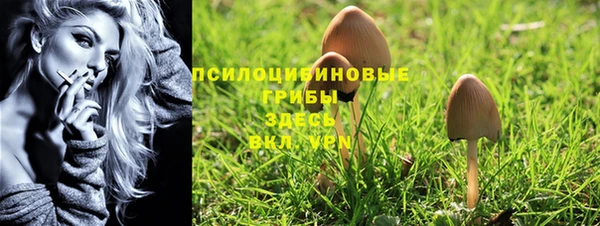 Альфа ПВП Алзамай