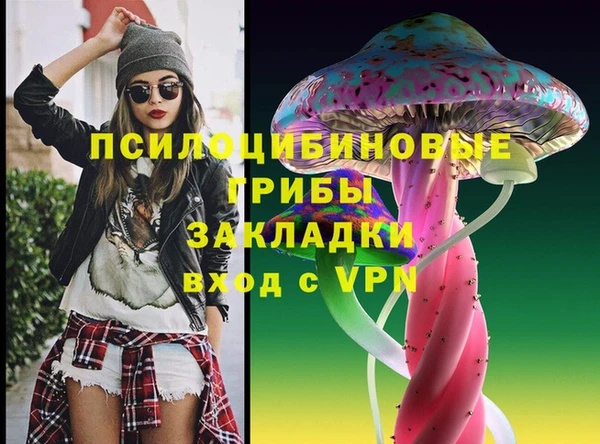 гидра Россошь