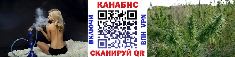 блэк спрут tor  Зея  Канабис планчик 